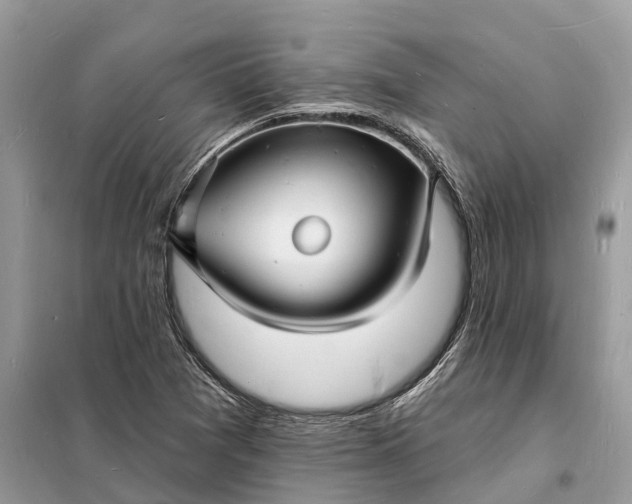 X0000098231361200805081212