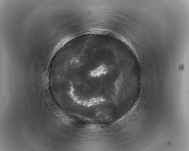 X0000098231362200805081212
