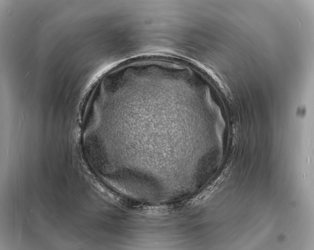 X0000098231363200805081212