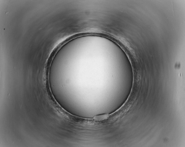 X0000098231364200805081212