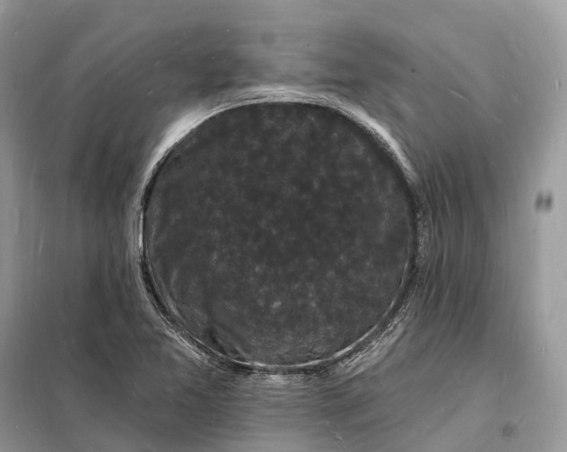 X0000098231365200805081212