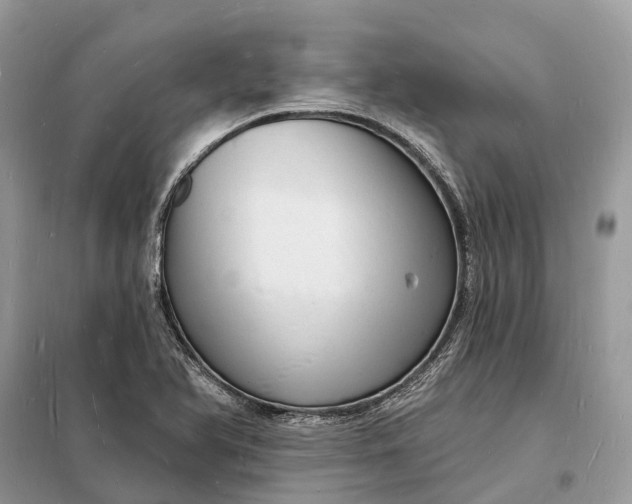 X0000098231366200805081212