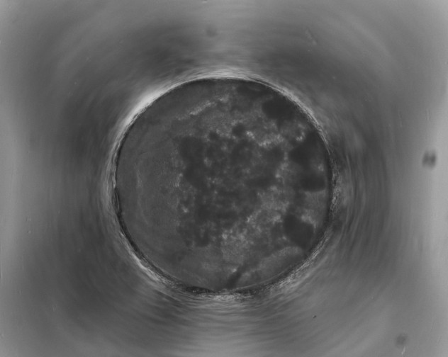 X0000098231367200805081212