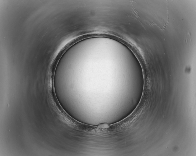 X0000098231368200805081212