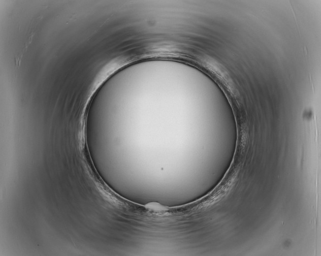 X0000098231370200805081212