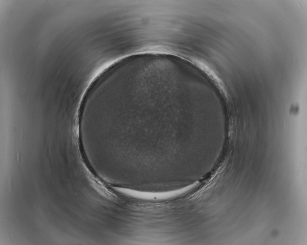 X0000098231372200805081212