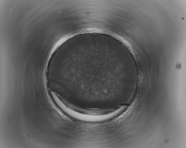 X0000098231373200805081212