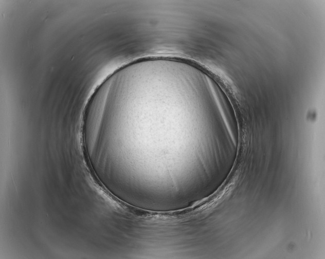 X0000098231374200805081212