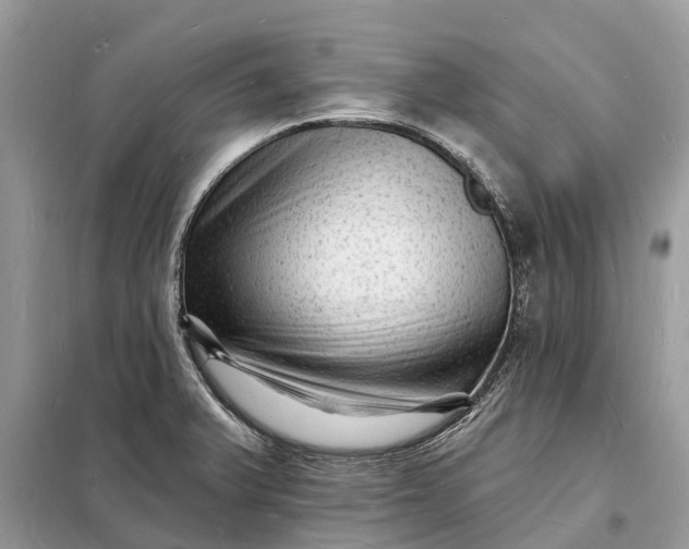 X0000098231375200805081212