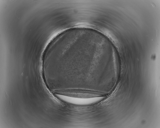 X0000098231376200805081212