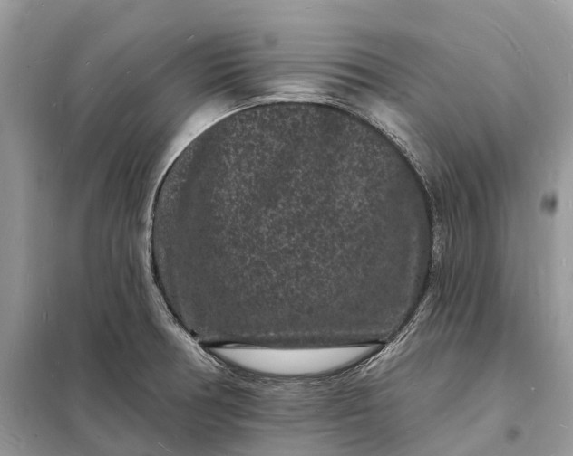 X0000098231378200805081212