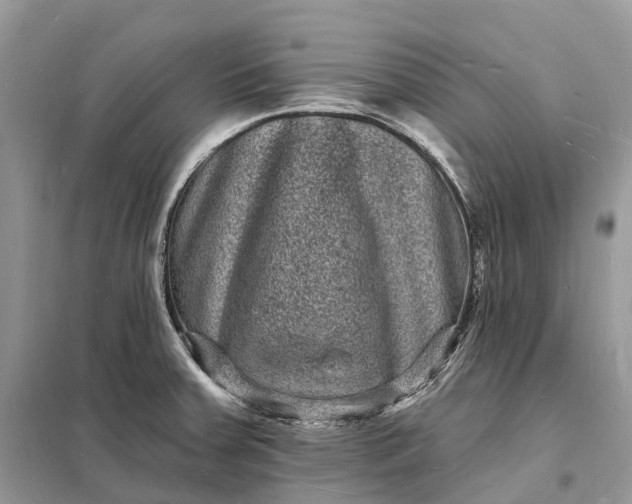 X0000098231379200805081212