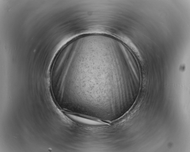 X0000098231380200805081212