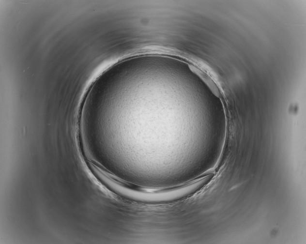 X0000098231381200805081212