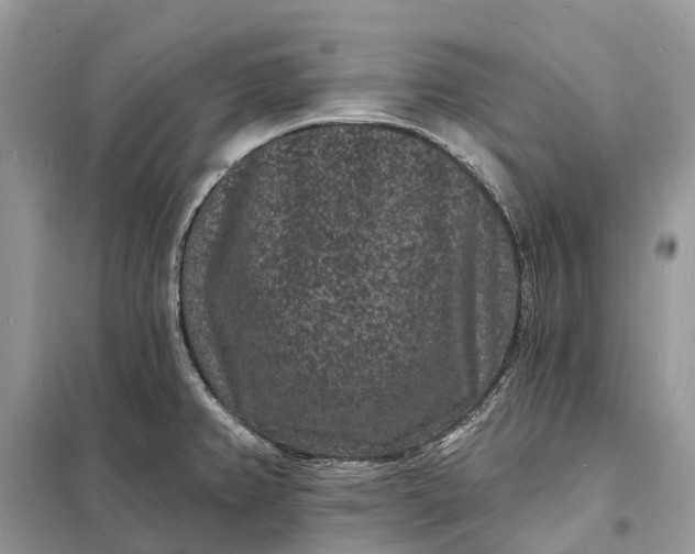 X0000098231382200805081212