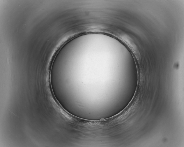 X0000098231384200805081212