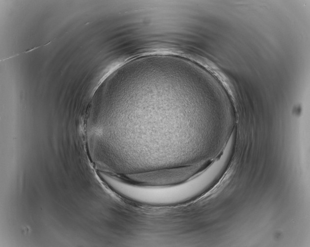 X0000098231385200805081212