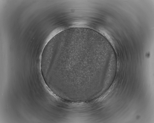 X0000098231386200805081212