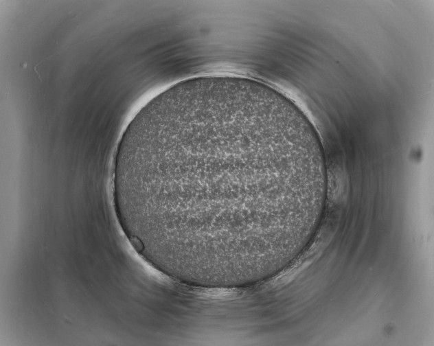 X0000098231387200805081212