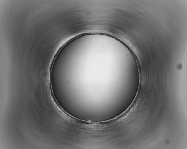 X0000098231388200805081212
