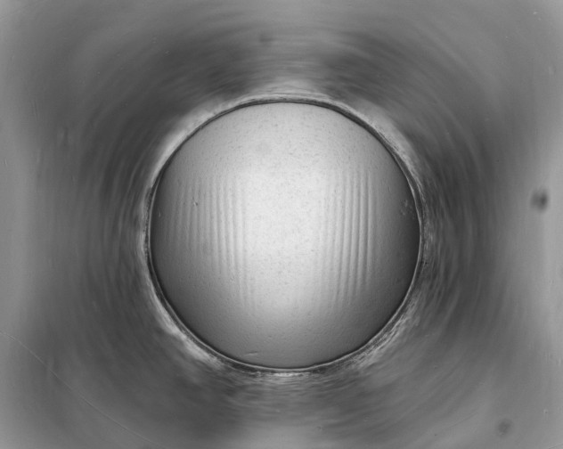 X0000098231390200805081211