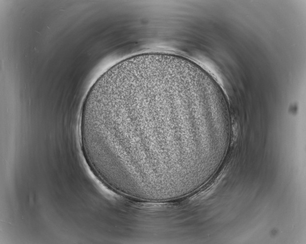 X0000098231391200805081211