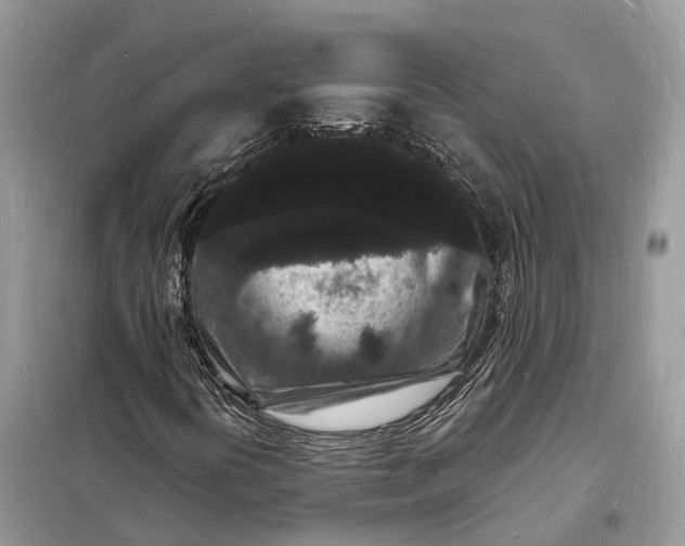 X0000098231394200805081211