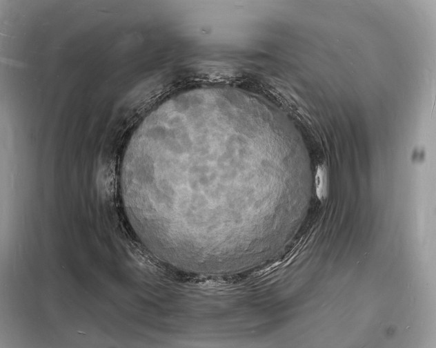 X0000098231395200805081211