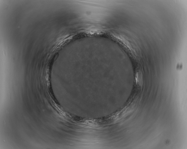 X0000098231396200805081211
