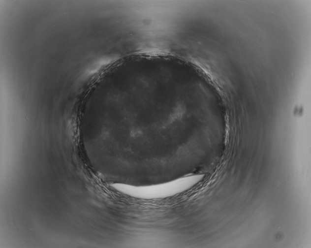 X0000098231398200805081211