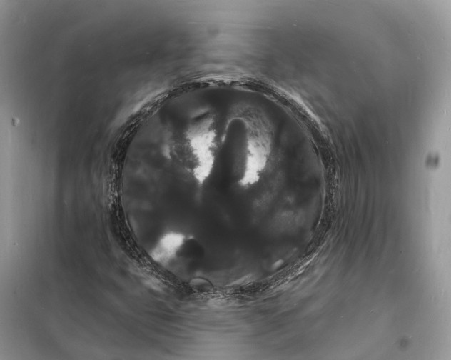 X0000098231399200805081211