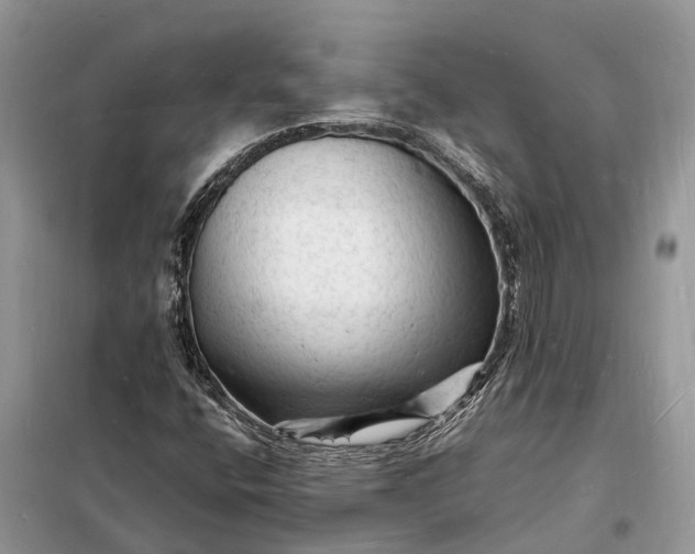 X0000098231400200805081211