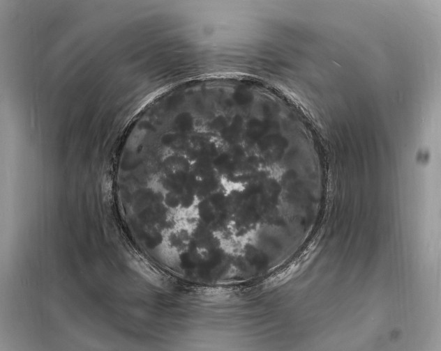 X0000098231401200805081211