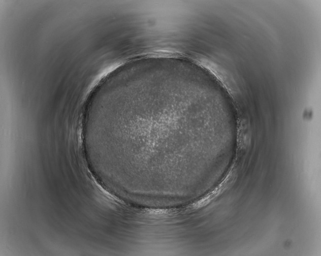 X0000098231402200805081211