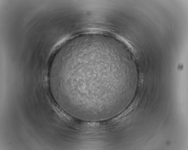 X0000098231403200805081211