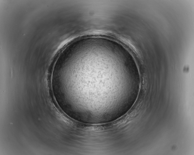 X0000098231404200805081211