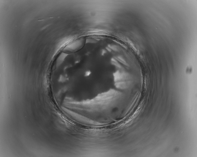 X0000098231405200805081211