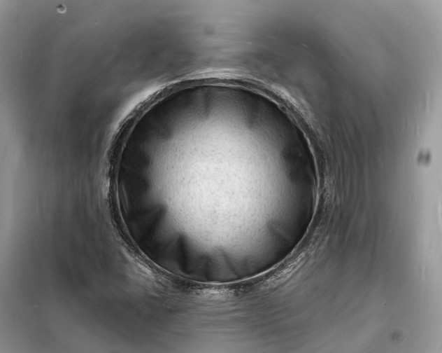 X0000098231406200805081211