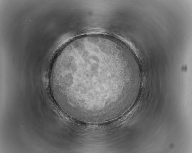 X0000098231407200805081211