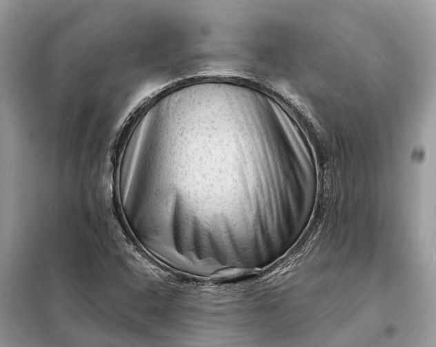 X0000098231408200805081211