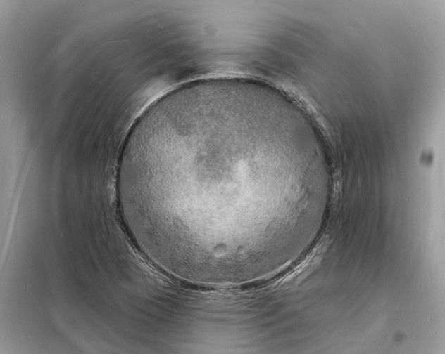 X0000098231409200805081211
