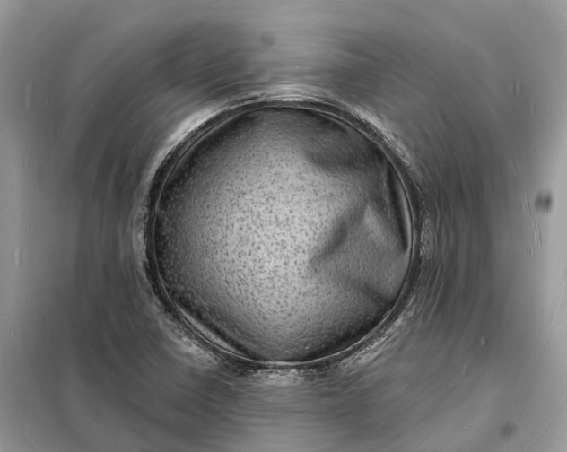 X0000098231410200805081211