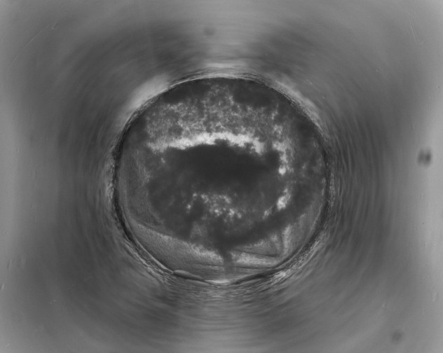 X0000098231411200805081211