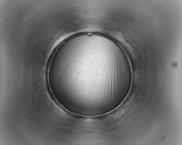 X0000098231412200805081211