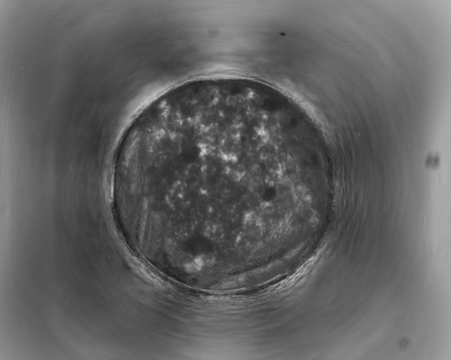 X0000098231413200805081211