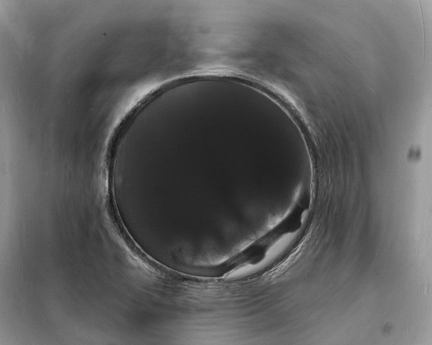 X0000098231414200805081211