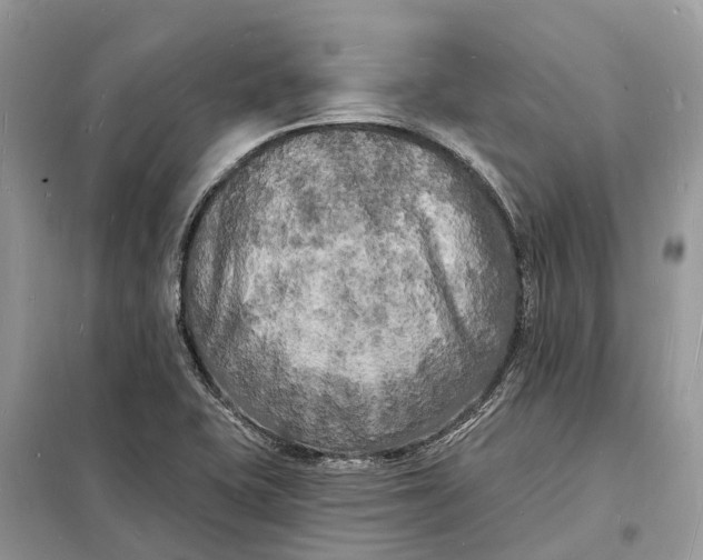 X0000098231415200805081211