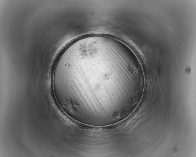 X0000098231416200805081211