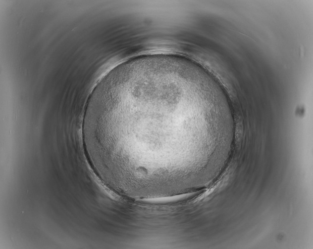 X0000098231417200805081211
