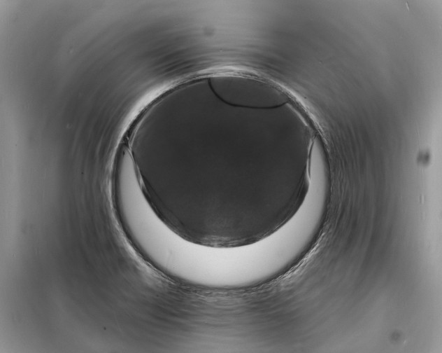 X0000098231418200805081211